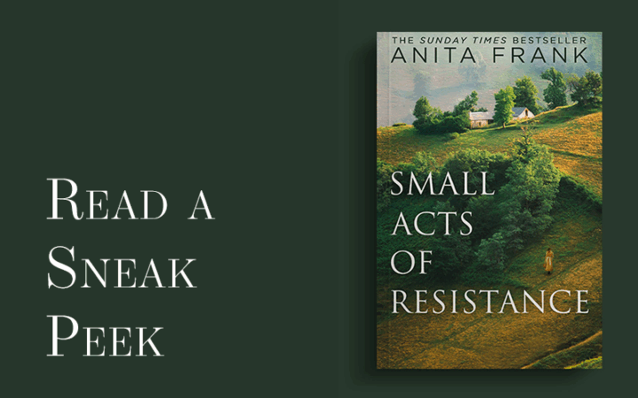 Read a sneak peek from Small Acts of Resistance by Anita Frank