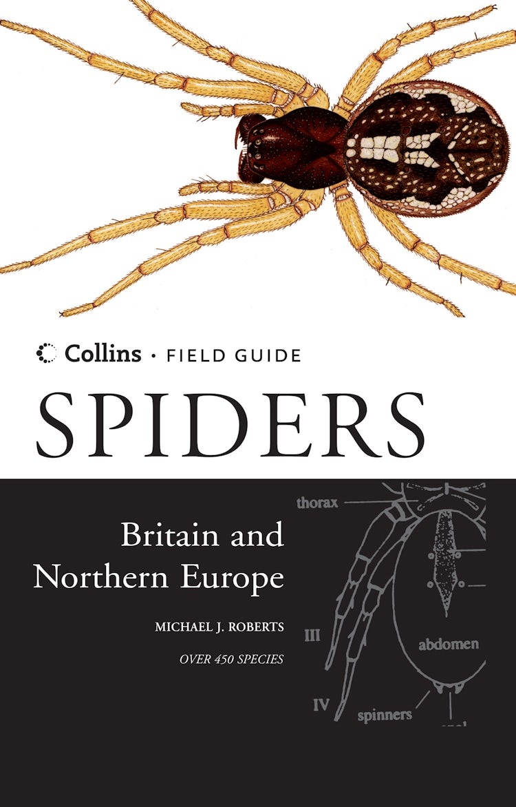 Cover image for Collins Field Guide: Spiders Of Britain And Northern Europe, isbn: 9780002199810