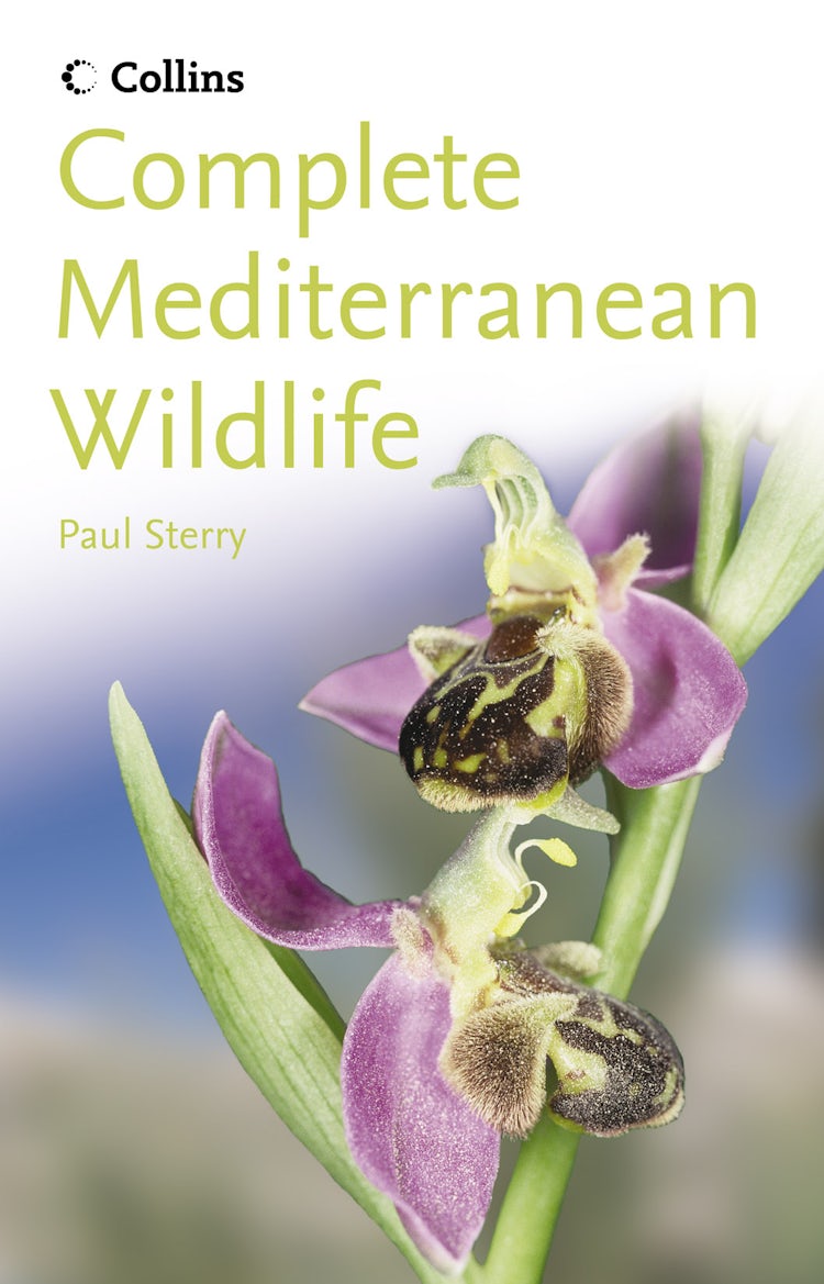 Cover image for Complete Mediterranean Wildlife, isbn: 9780002201612
