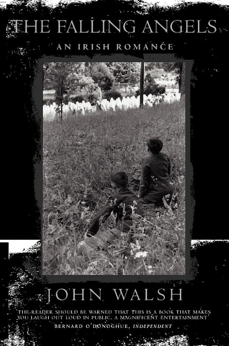Cover image for The Falling Angels, isbn: 9780006531227