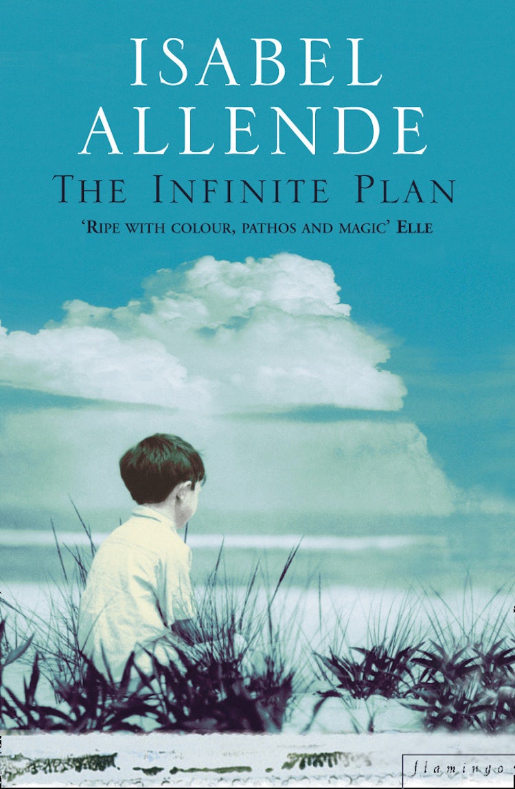 Cover image for The Infinite Plan, isbn: 9780006546849