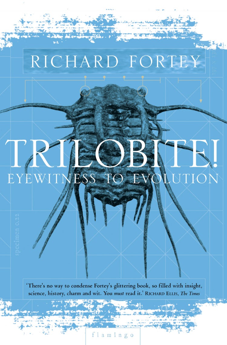 Cover image for Trilobite!, isbn: 9780006551386