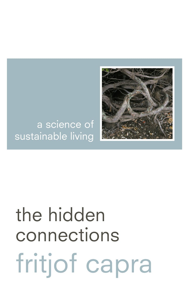 Cover image for The Hidden Connections: A Science for Sustainable Living, isbn: 9780006551584