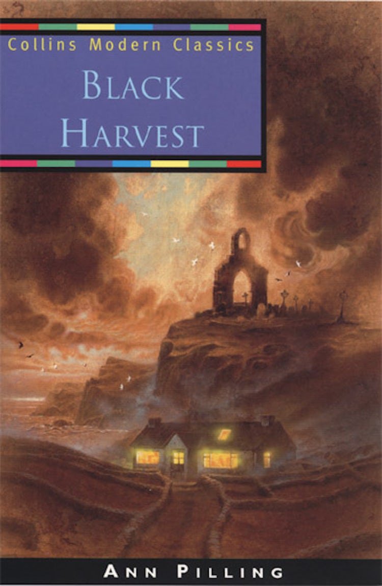 Cover image for Black Harvest, isbn: 9780006754268