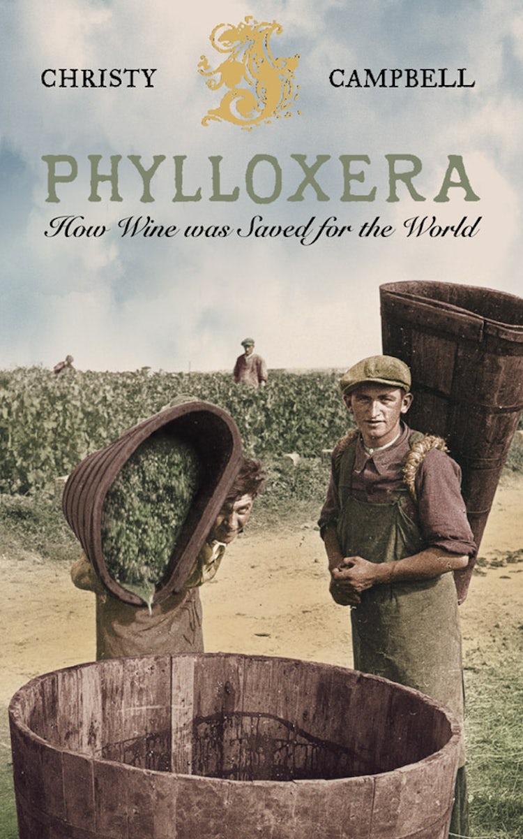 Cover image for Phylloxera: How Wine Was Saved For The World, isbn: 9780007115365