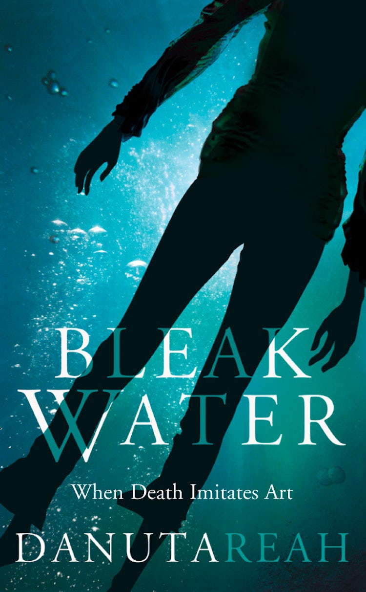 Cover image for Bleak Water, isbn: 9780007116317