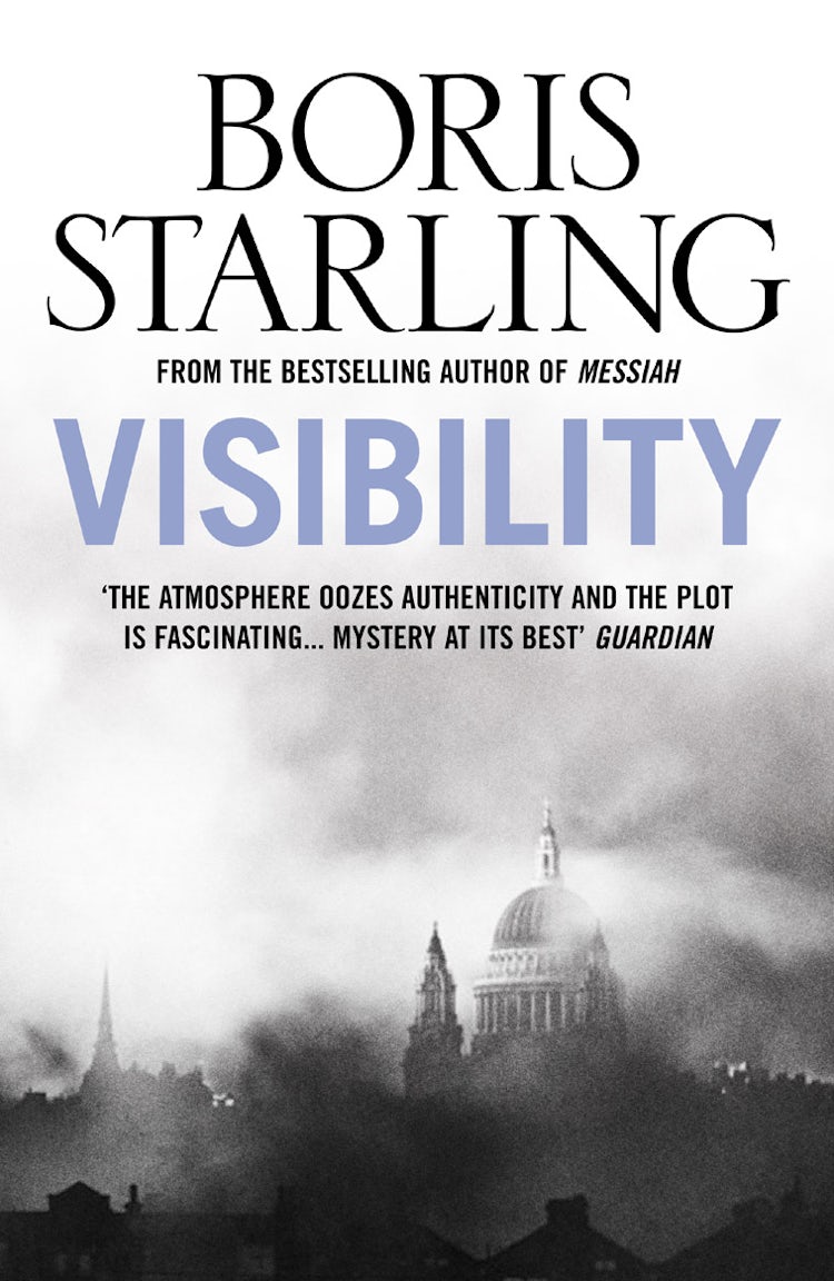 Cover image for VISIBILITY, isbn: 9780007119486