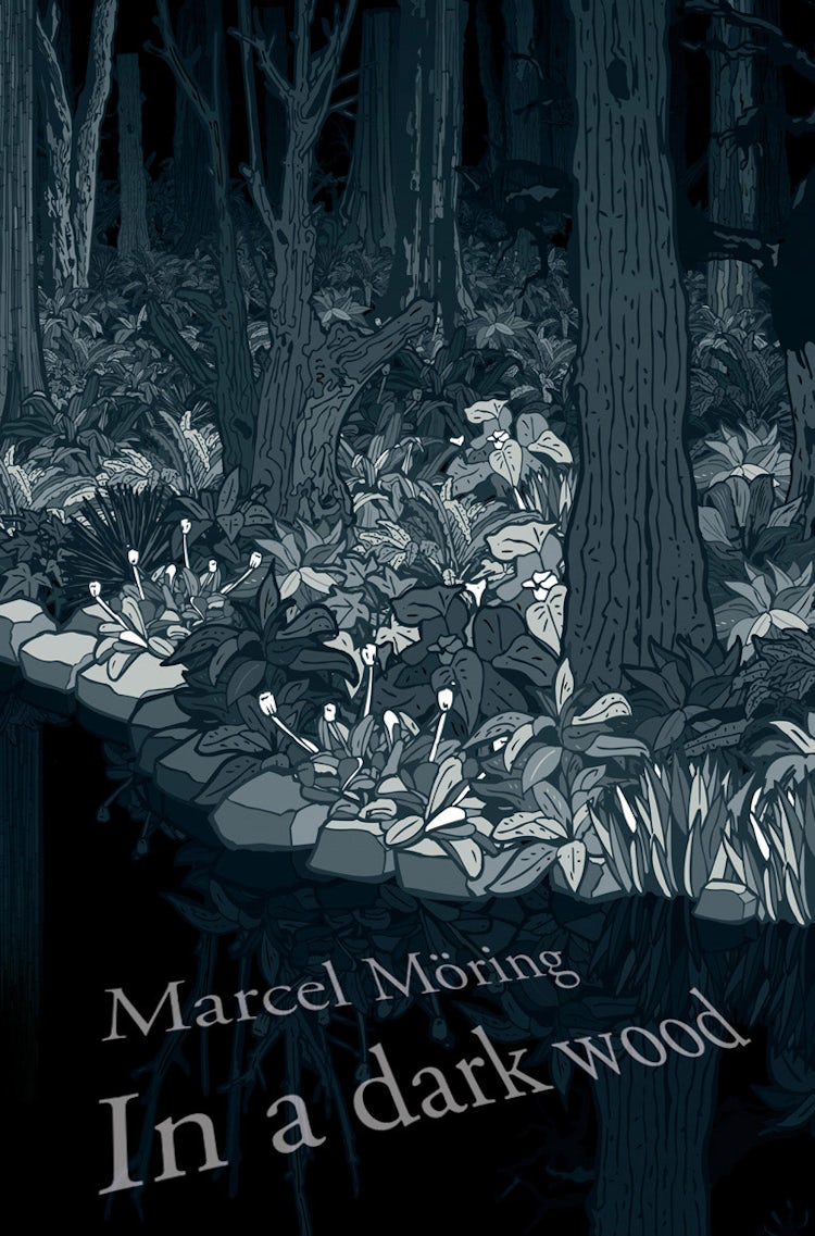Cover image for In a Dark Wood, isbn: 9780007129669