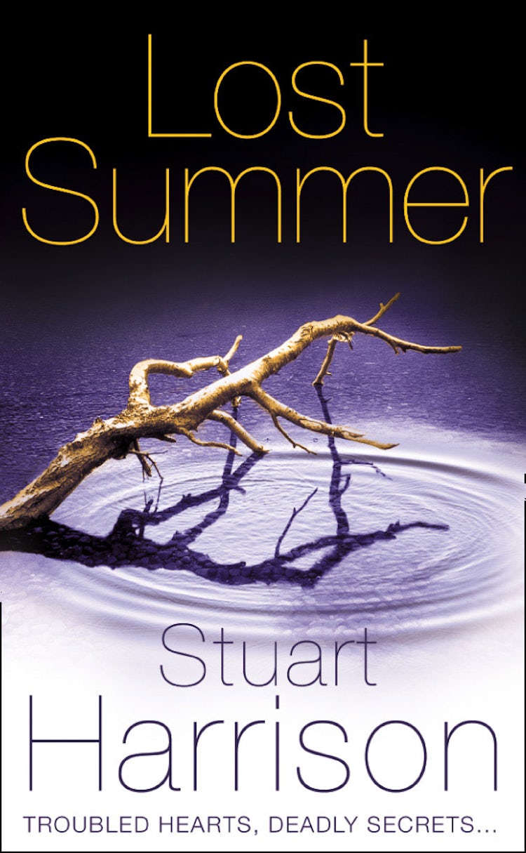 Cover image for Lost Summer, isbn: 9780007139361