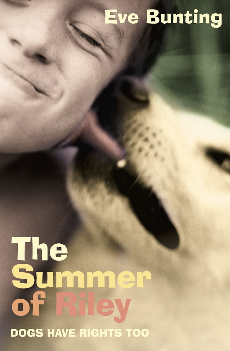 Cover image for The Summer of Riley, isbn: 9780007140107