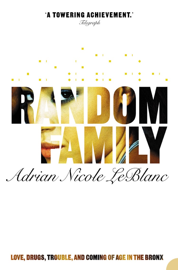 Cover image for Random Family: Love, Drugs, Trouble & Coming Of Age In The Bronx, isbn: 9780007163434