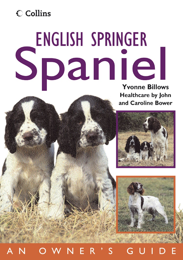 Cover image for Collins Dog Owners Guide: English Springer Spaniel, isbn: 9780007176052