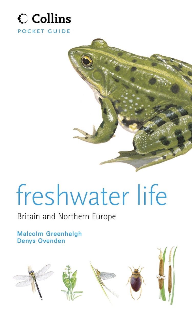 Cover image for Collins Pocket Guide: Freshwater Life, isbn: 9780007177776