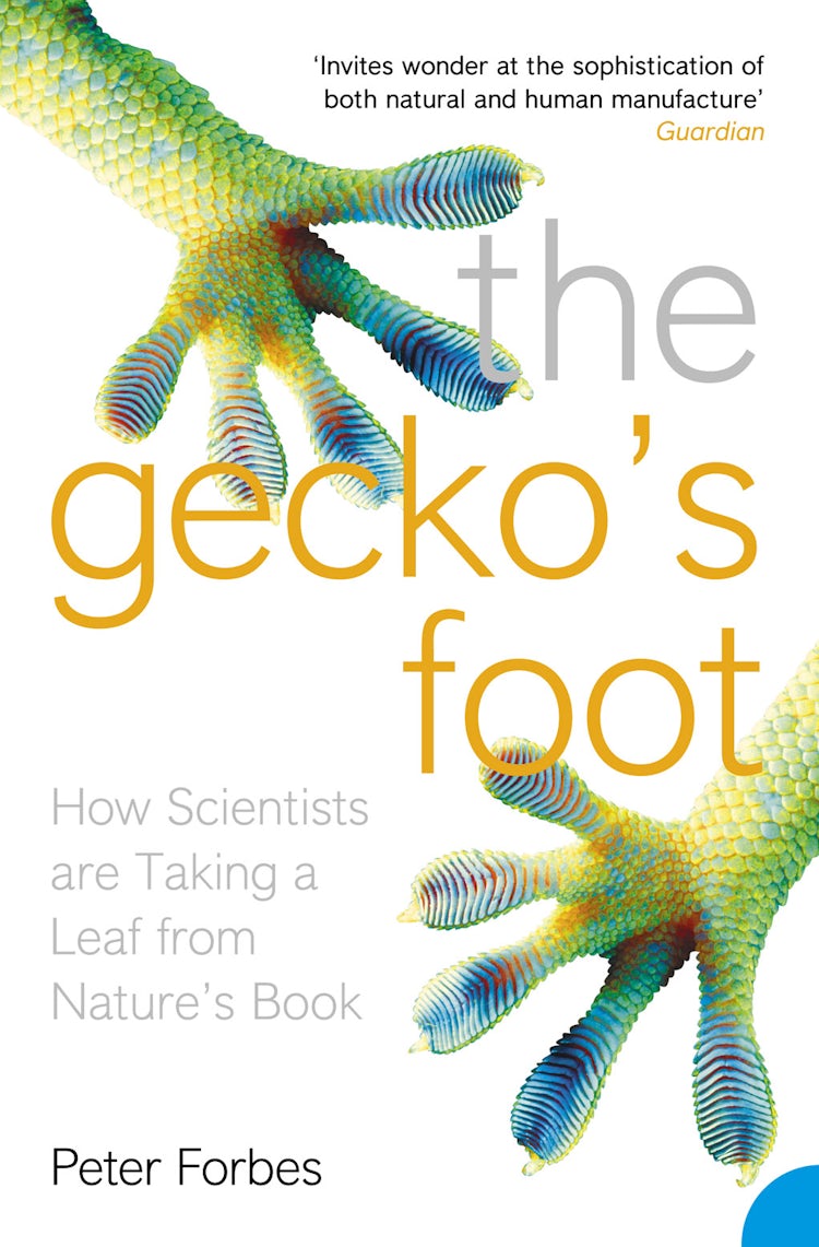 Cover image for The Gecko's Foot: How Scientists Are Taking A Leaf From Nature's Book, isbn: 9780007179893