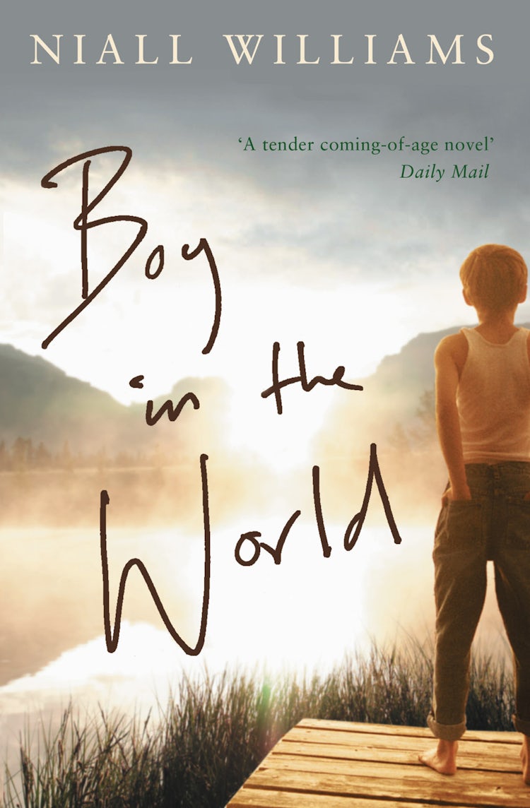 Cover image for Boy in the World, isbn: 9780007213467