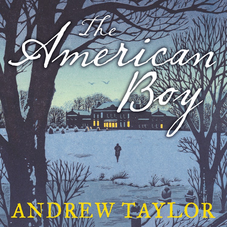 Cover image for The American Boy, isbn: 9780007218936