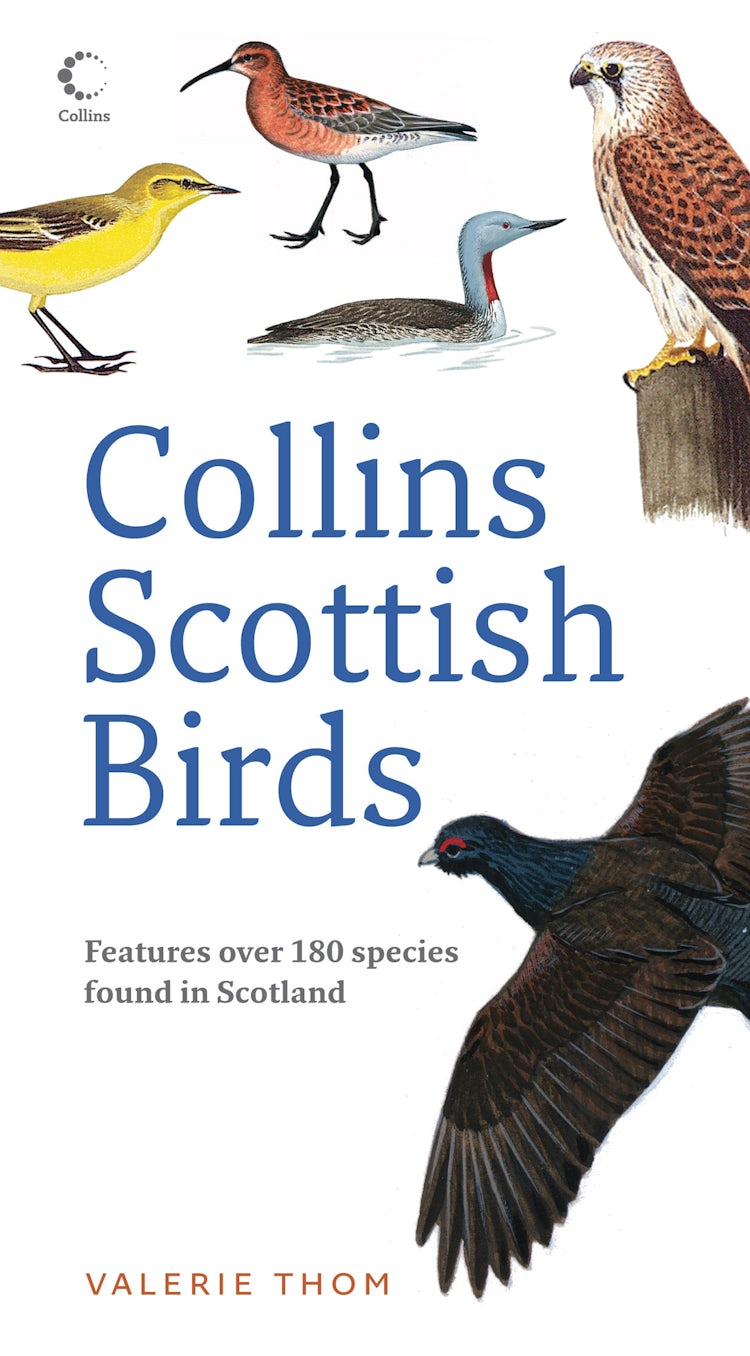 Cover image for Collins Scottish Birds, isbn: 9780007270682