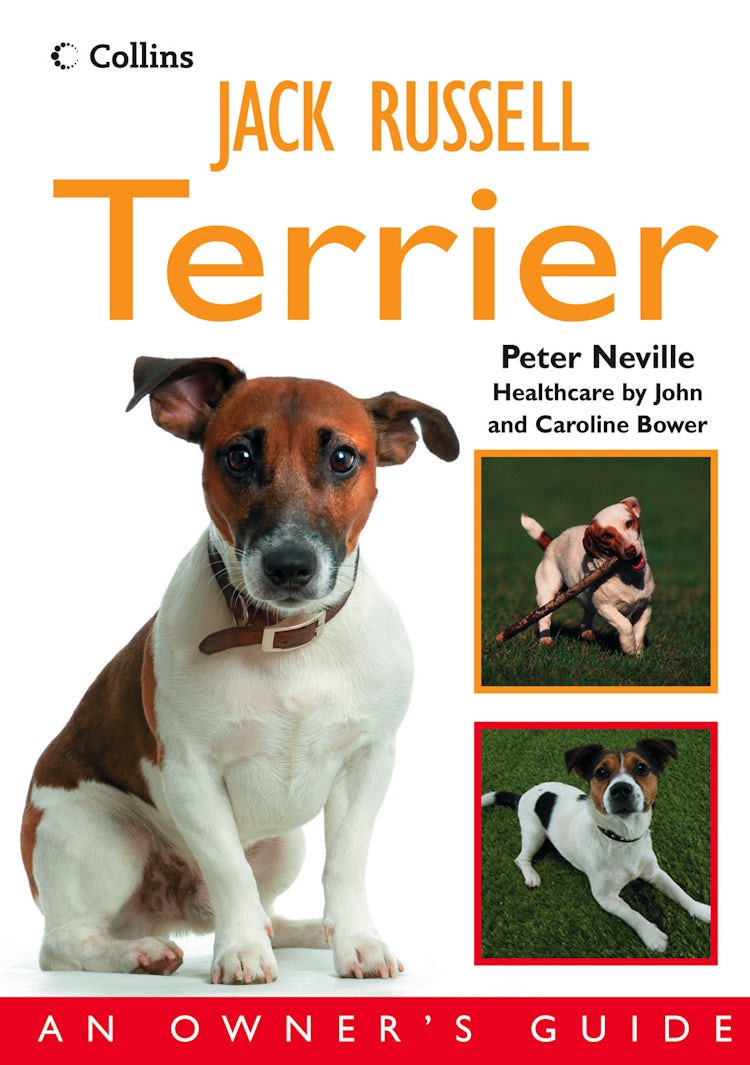 Cover image for Jack Russell Terrier: An Owner's Guide, isbn: 9780007274307