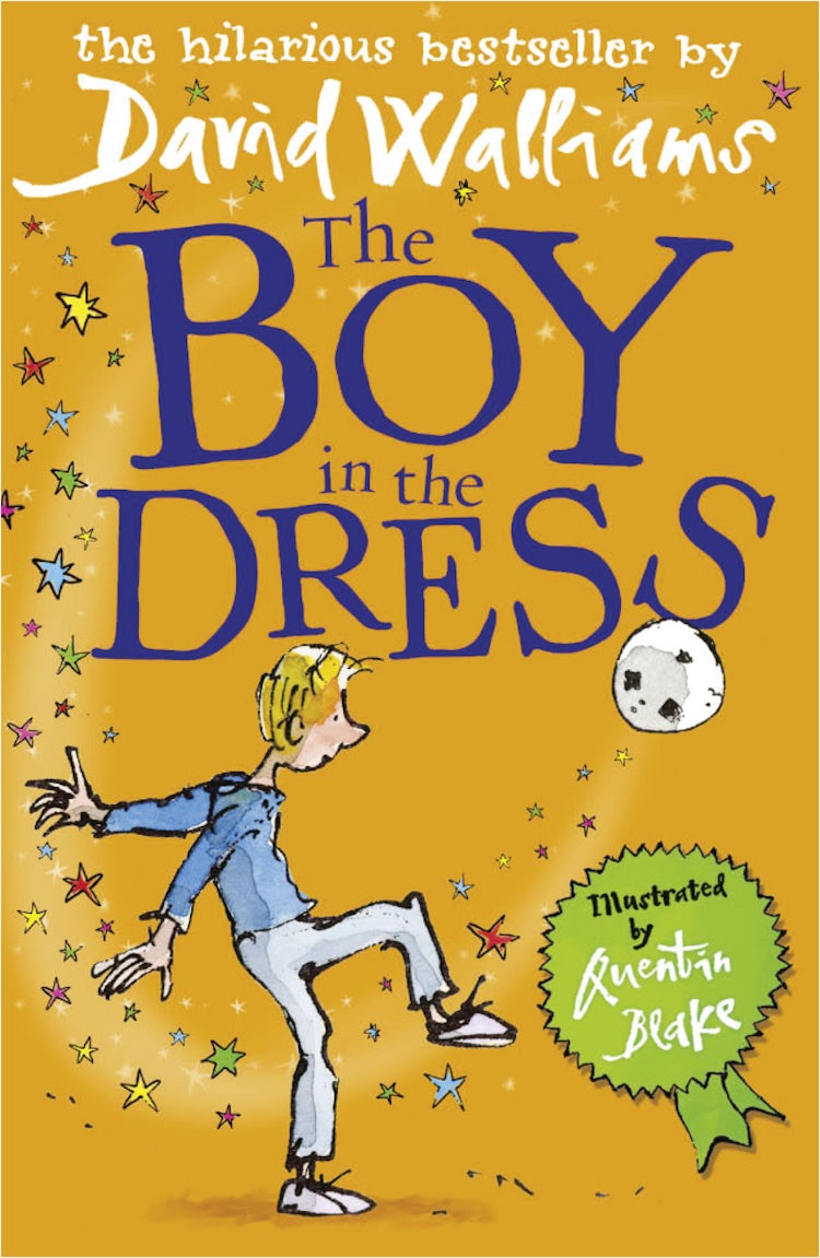 Cover image for The Boy in the Dress, isbn: 9780007279043