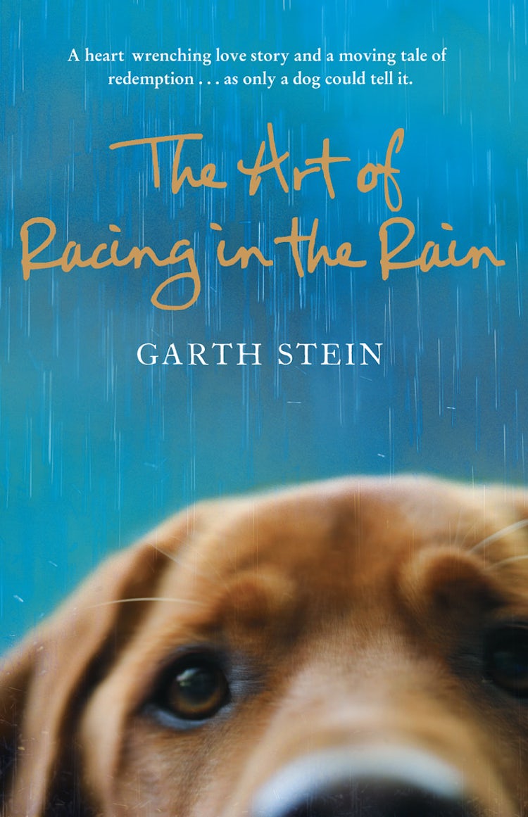 Cover image for The Art Of Racing In The Rain, isbn: 9780007281190