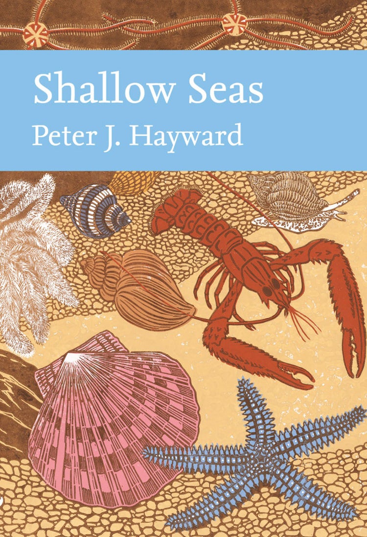 Cover image for Collins New Naturalist Library: Shallow Seas, isbn: 9780007307296
