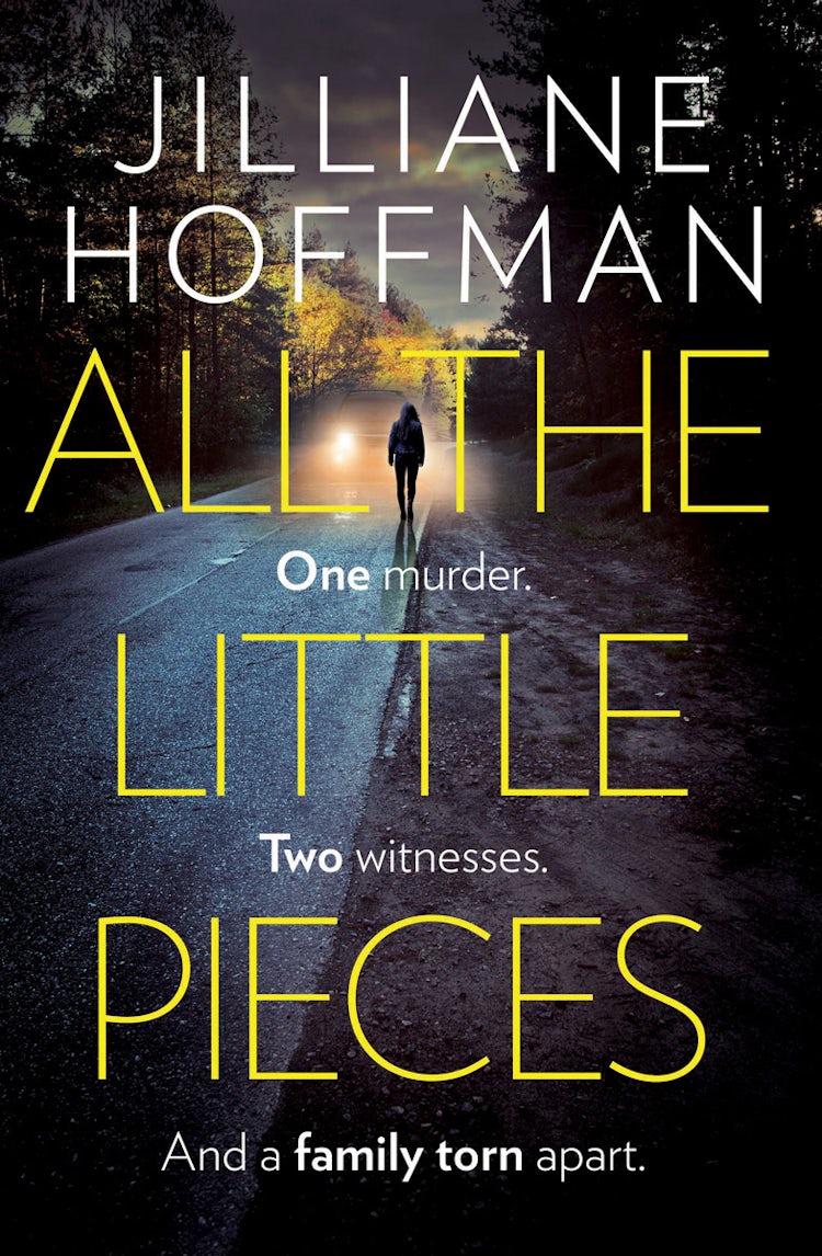 Cover image for All the Little Pieces, isbn: 9780007311729