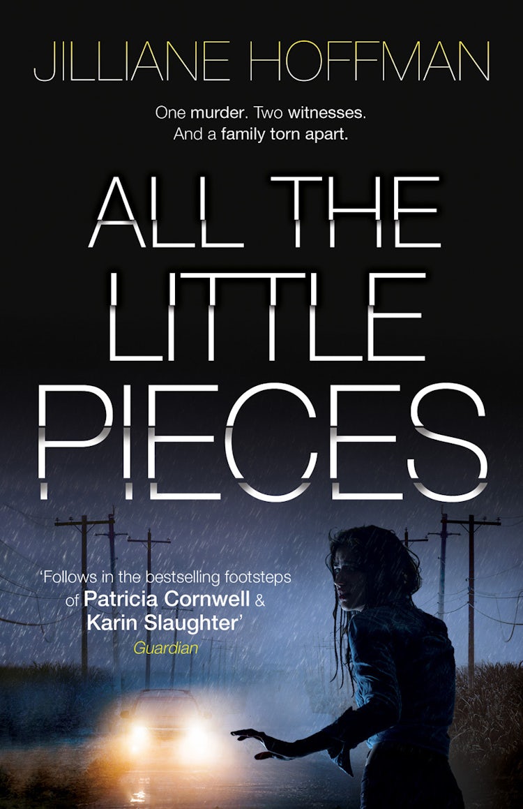 Cover image for All the Little Pieces, isbn: 9780007311743