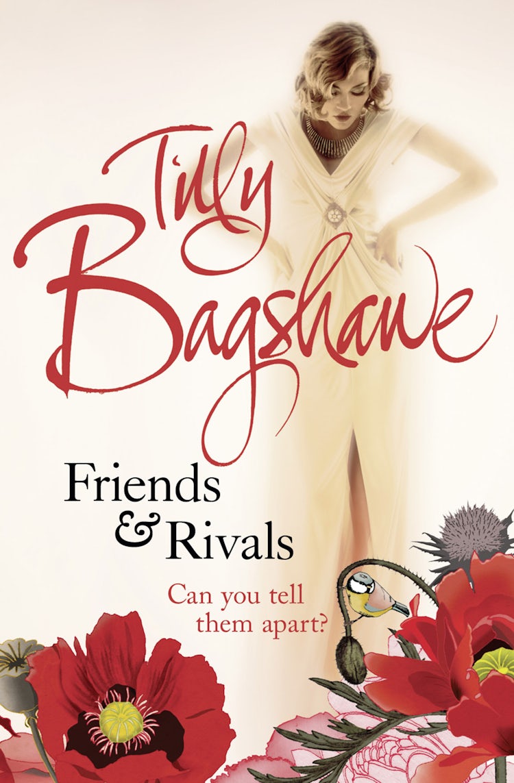 Cover image for Friends and Rivals, isbn: 9780007326532