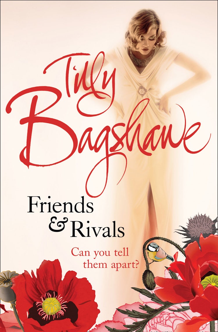 Cover image for Friends and Rivals, isbn: 9780007341894