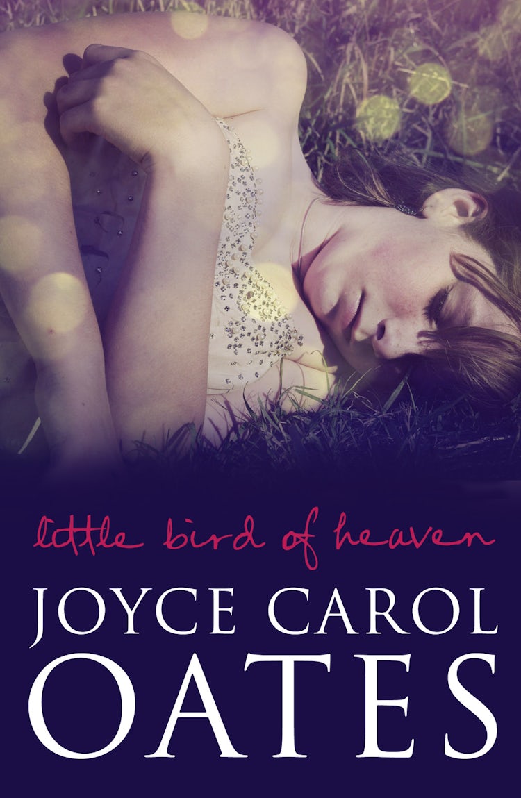 Cover image for Little Bird of Heaven, isbn: 9780007342549