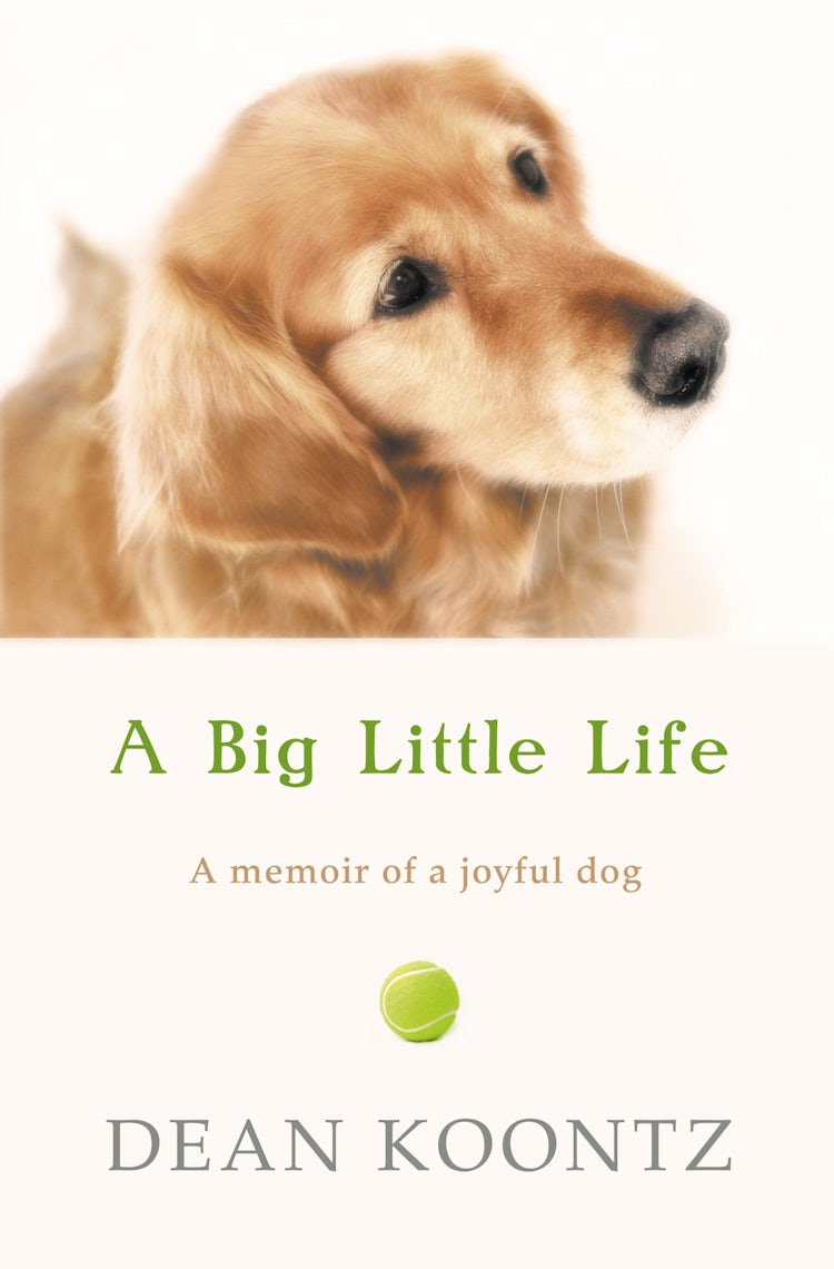 Cover image for A Big Little Life, isbn: 9780007342976