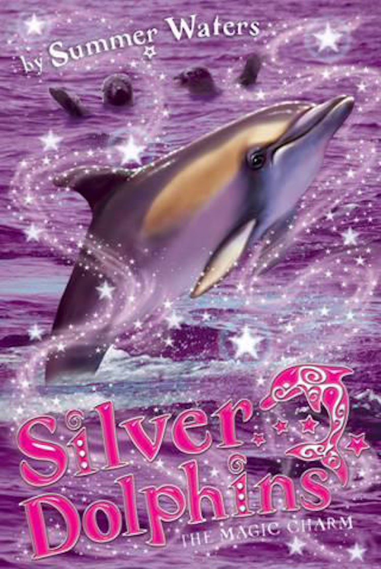 Cover image for Stormy Skies: Silver Dolphins, isbn: 9780007348138