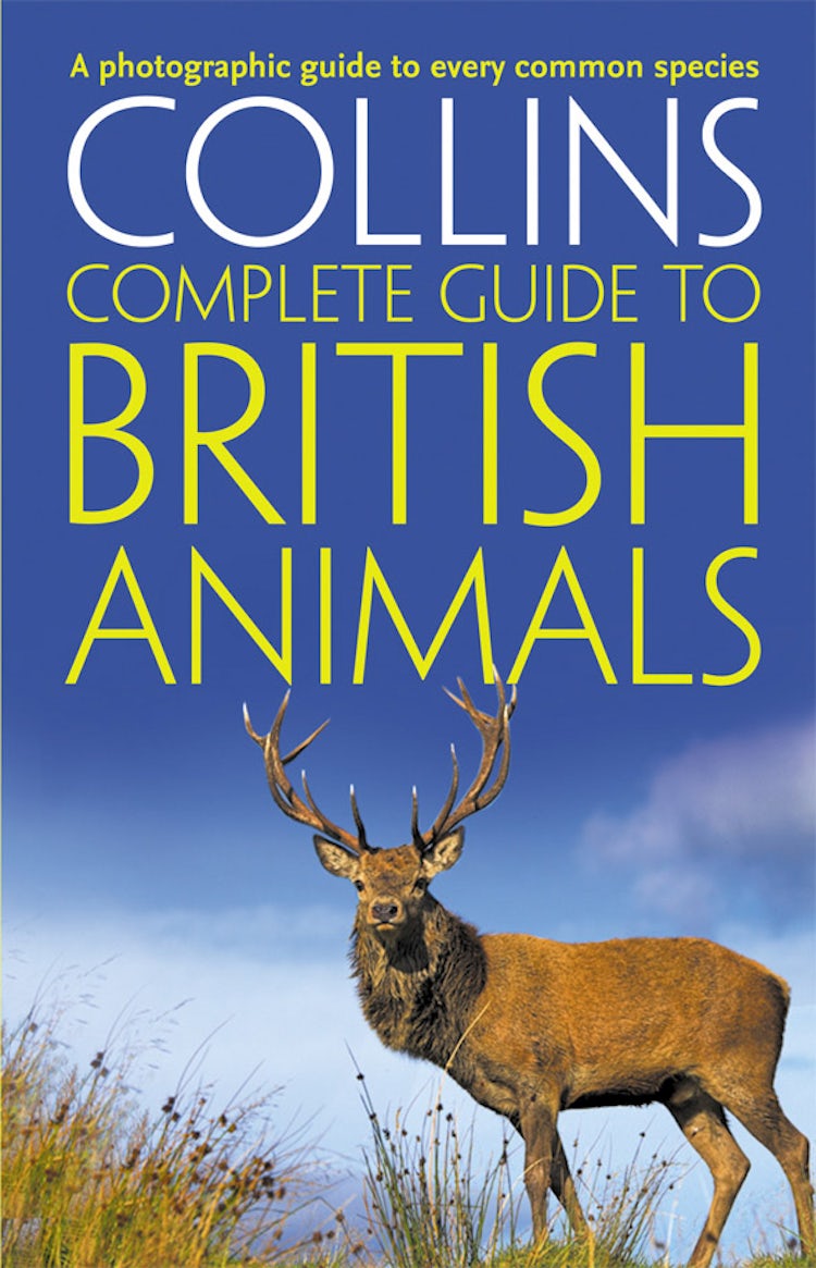 Cover image for Collins Complete Guides - Collins Complete British Animals: A Photogrpah ic Guide to Every Common Species, isbn: 9780007349500