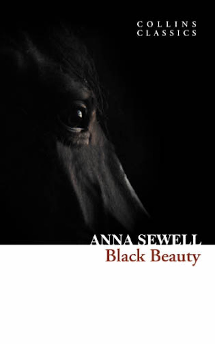 Cover image for Collins Classics: Black Beauty, isbn: 9780007350971
