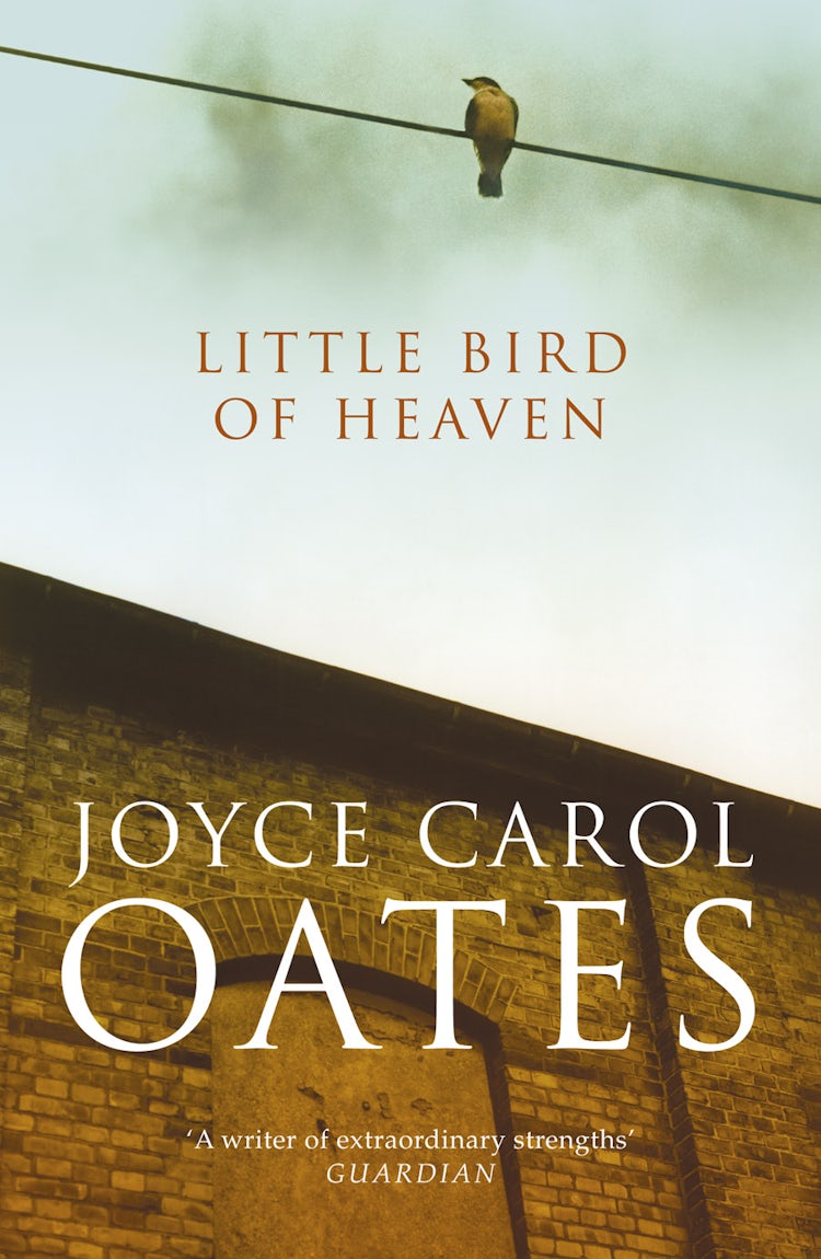 Cover image for Little Bird of Heaven, isbn: 9780007358212