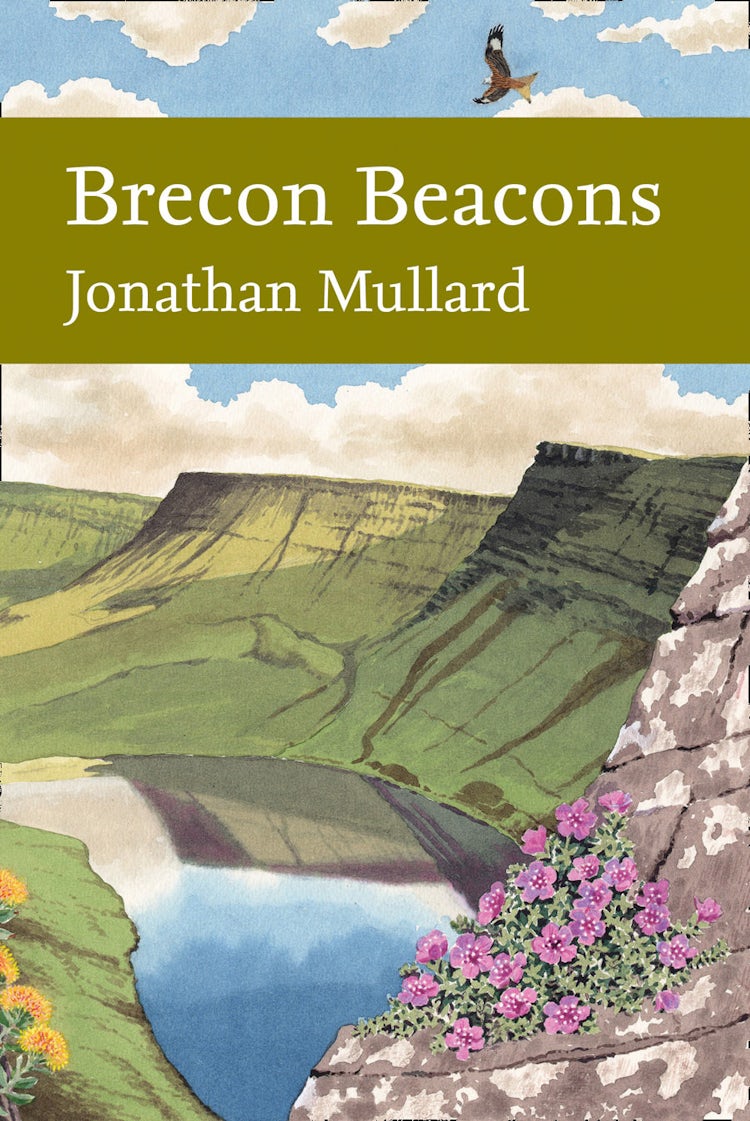 Cover image for Collins New Naturalist Library: Brecon Beacons, isbn: 9780007367702