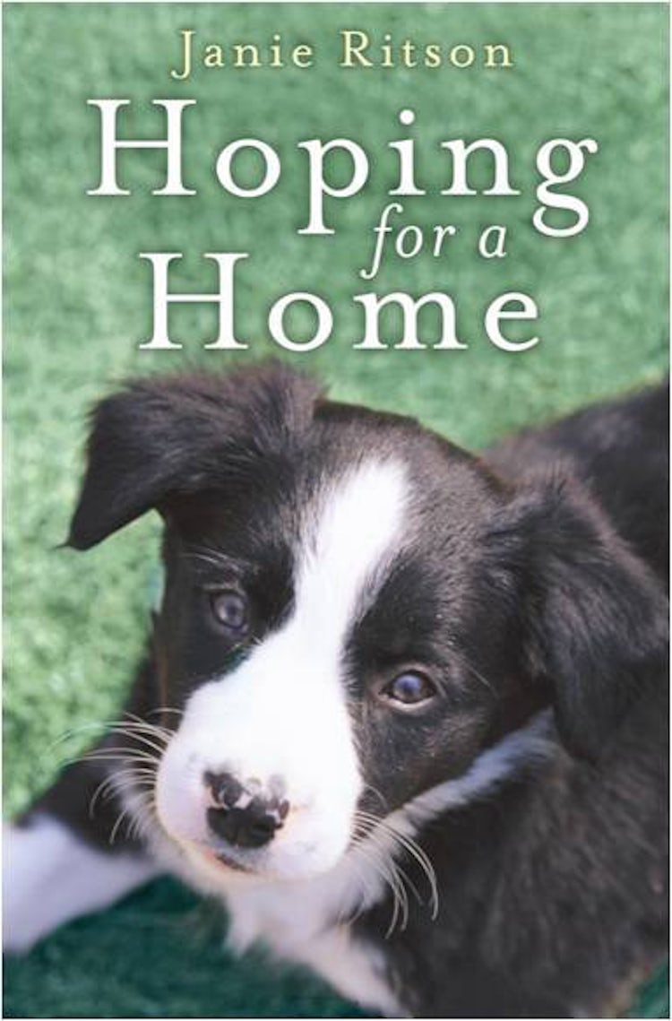 Cover image for Hoping for a Home, isbn: 9780007378913