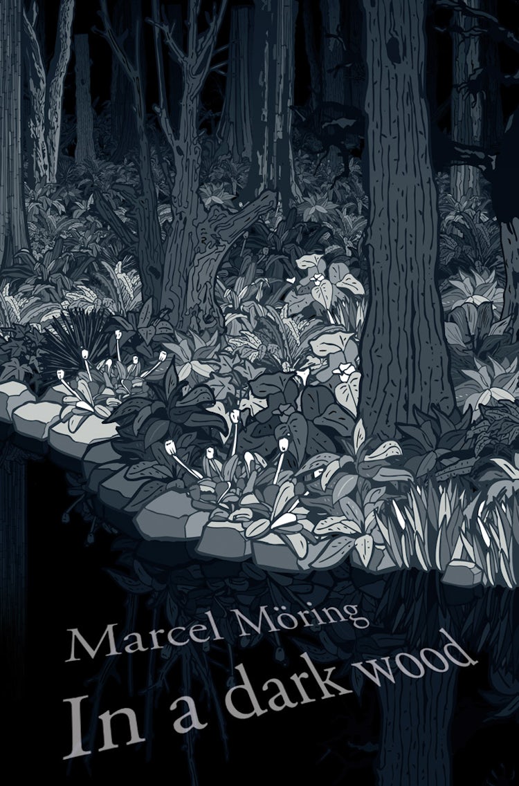Cover image for In A Dark Wood, isbn: 9780007380633