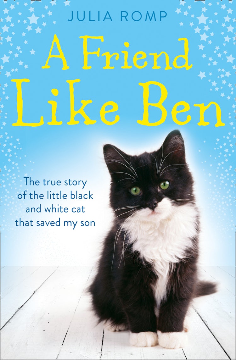Cover image for A Friend Like Ben: A Mother Desperate For Love. A Little Boy Unable to S how It. The cat That Brought Them Together., isbn: 9780007382743