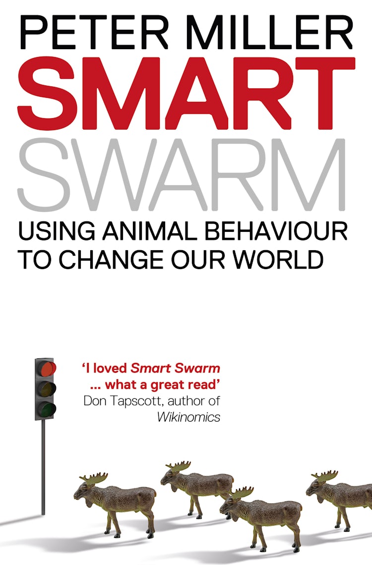Cover image for Smart Swarm: Using Animal Behaviour to Organise Our World, isbn: 9780007382972