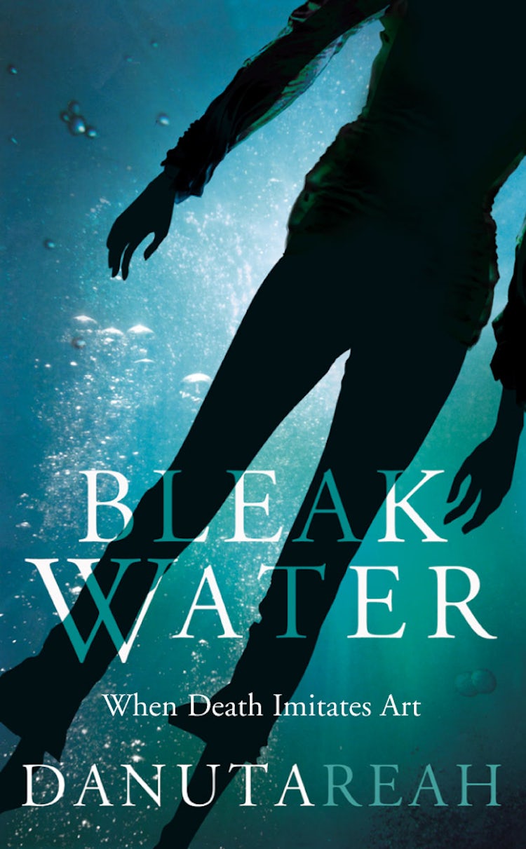 Cover image for Bleak Water, isbn: 9780007387694
