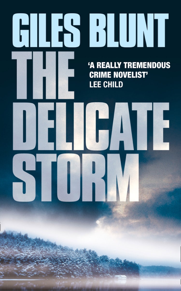 Cover image for The Delicate Storm, isbn: 9780007387748