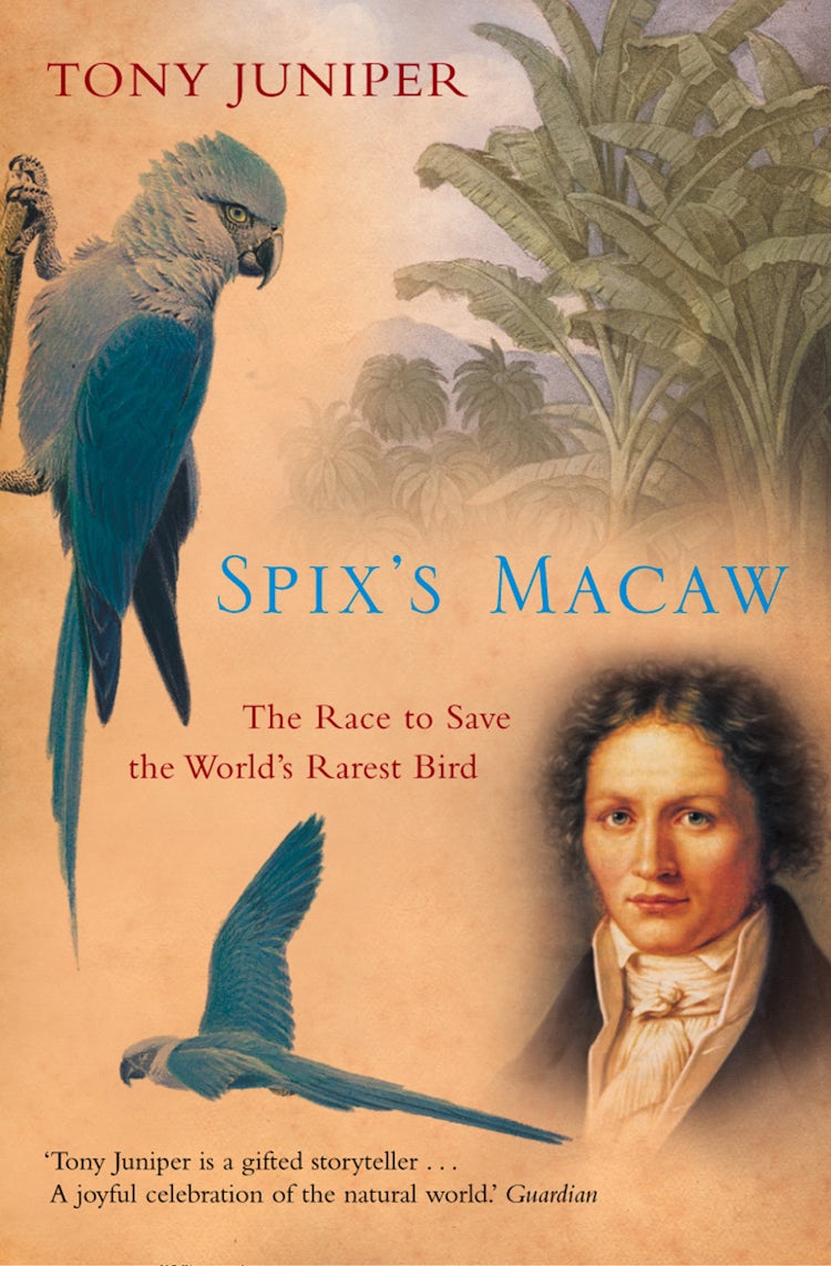 Cover image for Spix’s Macaw: The Race to Save the World’s Rarest Bird (Text Only), isbn: 9780007391776