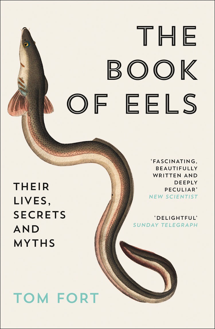 Cover image for The Book of Eels: Their Lives, Secrets and Myths, isbn: 9780007394692