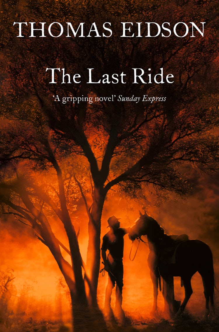 Cover image for The Last Ride, isbn: 9780007396832