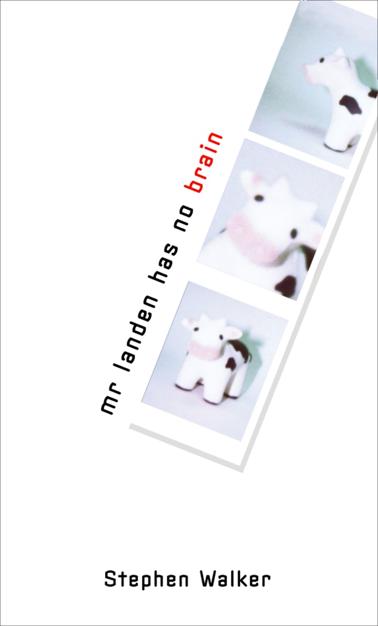 Cover image for Mr Landen Has No Brain, isbn: 9780007400881