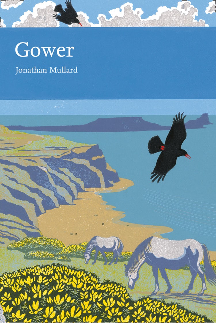 Cover image for Gower (Collins New Naturalist Library, Book 99), isbn: 9780007402533