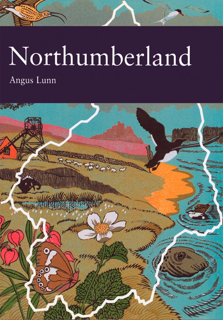 Cover image for Northumberland (Collins New Naturalist Library, Book 95), isbn: 9780007403196