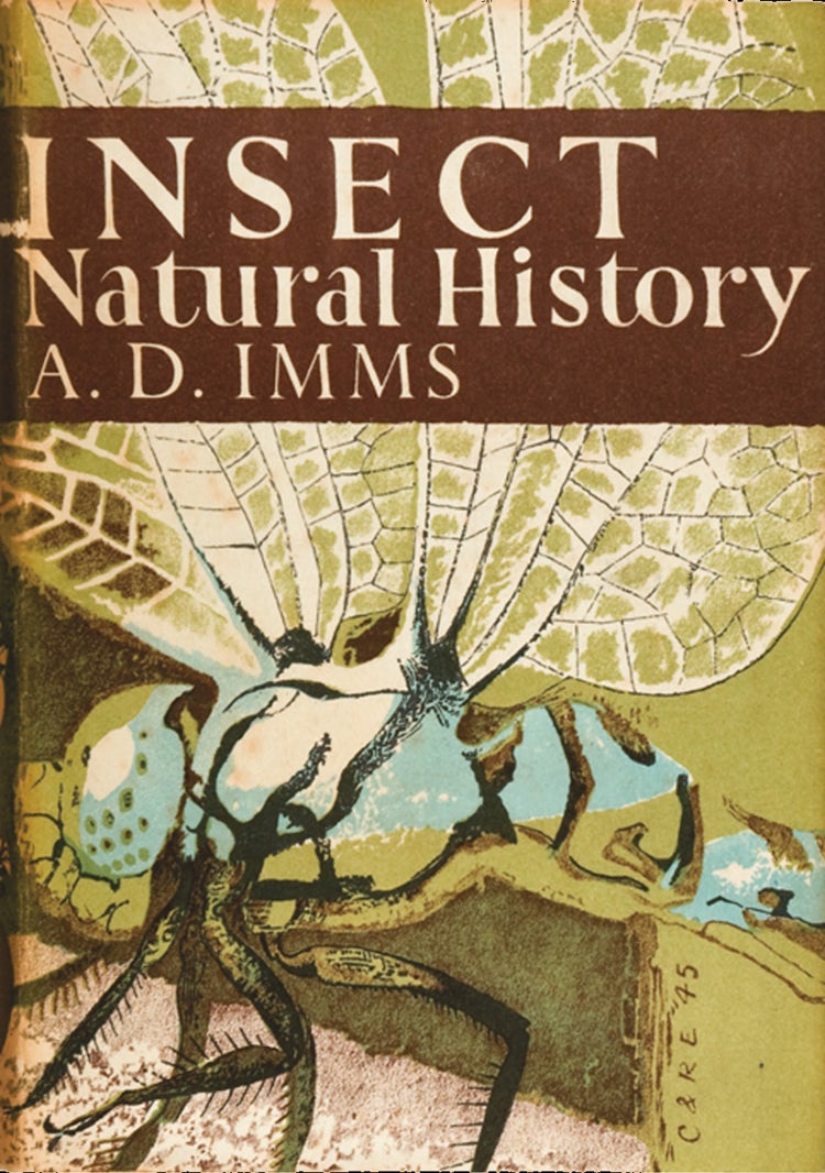 Cover image for Insect Natural History (Collins New Naturalist Library, Book 8), isbn: 9780007403288