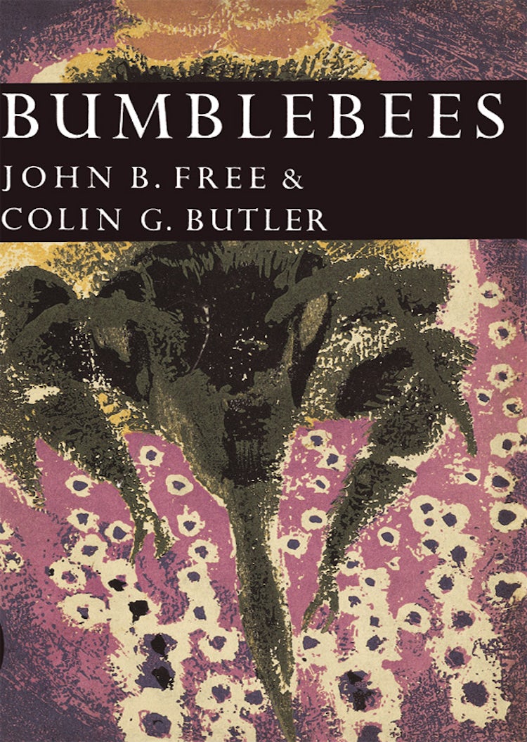 Cover image for Bumblebees (Collins New Naturalist Library, Book 40), isbn: 9780007403585